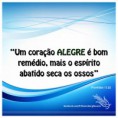 /album/projeto-semeando-a-palavra-de-deus/proverbios-17-22-jpg/